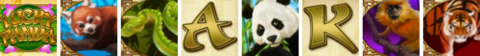 Lucky Panda symbols